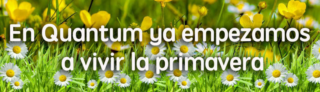 header